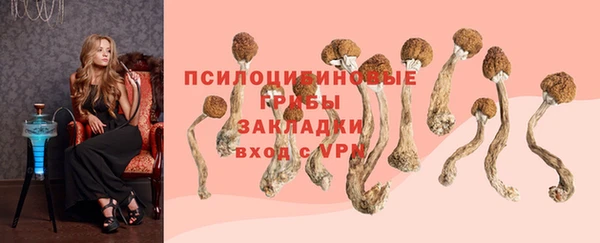 дурь Беломорск