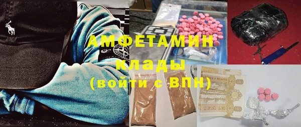 тгк Дмитриев