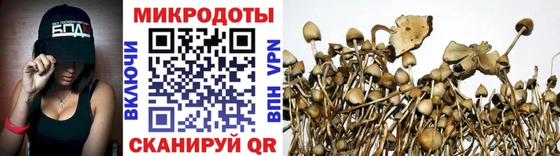 Галлюциногенные грибы GOLDEN TEACHER  цены наркотик  Мензелинск 